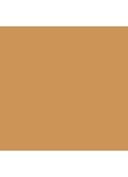 Skin Foundation Stick - 5.75 Golden Honey