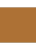 Skin Foundation Stick - W-076 Warm Golden