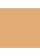 Skin Foundation Stick - C-046 Cool Beige
