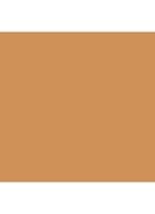 Skin Foundation Stick - C-056 Cool Natural