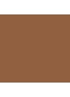 Skin Foundation Stick - C-086 / 7.25 Cool Almond