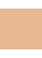 Skin Foundation Stick - Neutral Honey