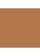 Skin Foundation Stick - Neutral Golden
