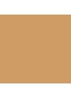 Skin Foundation Stick - 5.5 Warm Honey