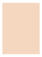 Skin Full Cover Concealer  - PORCELAIN