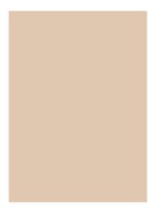 Skin Full Cover Concealer  - IVORY