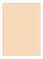 Skin Full Cover Concealer  - WARM IVORY