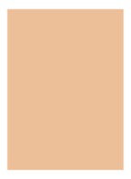 Skin Full Cover Concealer  - COOL SAND
