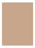 Skin Full Cover Concealer  - WARM BEIGE