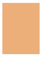 Skin Full Cover Concealer  - NATURAL