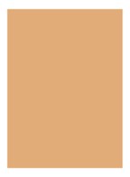 Skin Full Cover Concealer  - NATURAL TAN