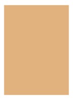 Skin Full Cover Concealer  - WARM NATURAL