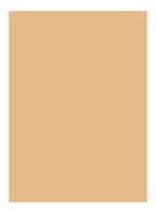 Skin Full Cover Concealer  - HONEY