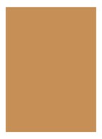 Skin Full Cover Concealer  - GOLDEN