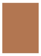 Skin Full Cover Concealer  - ALMOND