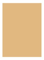 Skin Full Cover Concealer  - WARM HONEY
