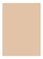 Skin Full Cover Concealer - BEIGE