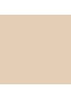 Skin Perfect Concealer Stick - Ivory