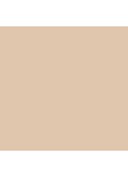 Skin Perfect Concealer Stick - Warm Ivory