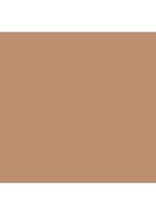 Skin Perfect Concealer Stick - Golden