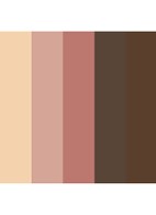 Eyeshadow 5 colours - oogschaduw palette - Corporate Colours