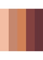 Eyeshadow 5 colours - oogschaduw palette - Dysco