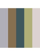 Eyeshadow 5 colours - oogschaduw palette - Metal Boots in the Snow