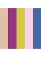 Eyeshadow 5 colours - oogschaduw palette - Syren