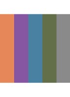 Eyeshadow 5 colours - oogschaduw palette - Sciomancer