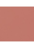 BIJZONDER INTENSE LIPPENSTIFT. EXTRACT VAN LICHT EN VERZORGING - 812 BEIGE BRUT 