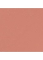 DE ULTRA-LANGHOUDENDE INTENS MATTE VLOEIBARE LIPPENSTIFT - 202 SECRÈTE