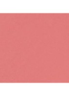 DE ULTRA-LANGHOUDENDE INTENS MATTE VLOEIBARE LIPPENSTIFT - 204 TROUBLANTE