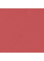 DE ULTRA-LANGHOUDENDE INTENS MATTE VLOEIBARE LIPPENSTIFT - 206 SURPRENANTE
