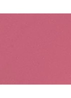 DE ULTRA-LANGHOUDENDE INTENS MATTE VLOEIBARE LIPPENSTIFT - 244 PALPITANTE
