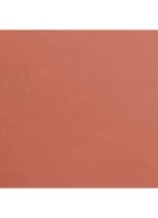 KLEUR, GLANS, INTENSITEIT IN EEN FLASH - 290 RAW BROWN