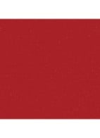 LANGHOUDEND LIPPENDUO - 49 EVER RED