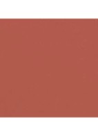 LANGHOUDEND LIPPENPOTLOOD  - 216 BRUN SIENNE