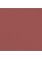 LANGHOUDEND LIPPENPOTLOOD  - 218 BRUN ROUGE