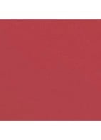 LANGHOUDEND LIPPENPOTLOOD - 172 BOIS DE ROSE