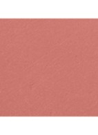 LIMITED EDITION – DE STRALENDE FLUWEELACHTIGE LIPPENSTIFT  - 478 RENCONTRE
