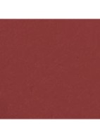 LIMITED EDITION – DE STRALENDE FLUWEELACHTIGE LIPPENSTIFT  - 489 TOI ET MOI