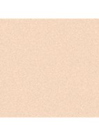 LOSSE POEDER MET EEN NATUURLIJKE FINISH - 30 MEDIUM