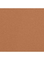 POUDRE BELLE MINE NATURELLE - B110