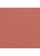 STRALENDE FLUWEELACHTIGE LIPPENSTIFT - 62 LIBRE 