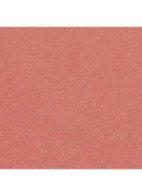 STRALENDE FLUWEELACHTIGE LIPPENSTIFT - 76 VERSATILE 