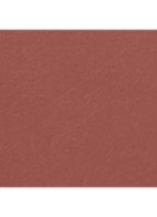 STRALENDE FLUWEELACHTIGE LIPPENSTIFT - 78 INIMITABLE 