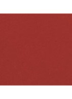 STRALENDE FLUWEELACHTIGE LIPPENSTIFT - 377 AUDACIEUSE