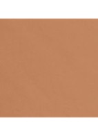 STRALENDE NATUURLIJKE HEALTHY GLOW - B110