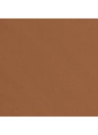 TEINT BELLE MINE NATURELLE HYDRATATION ET LONGUE TENUE  - BD141 