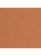 TEINT BELLE MINE NATURELLE HYDRATATION ET LONGUE TENUE  - BR112